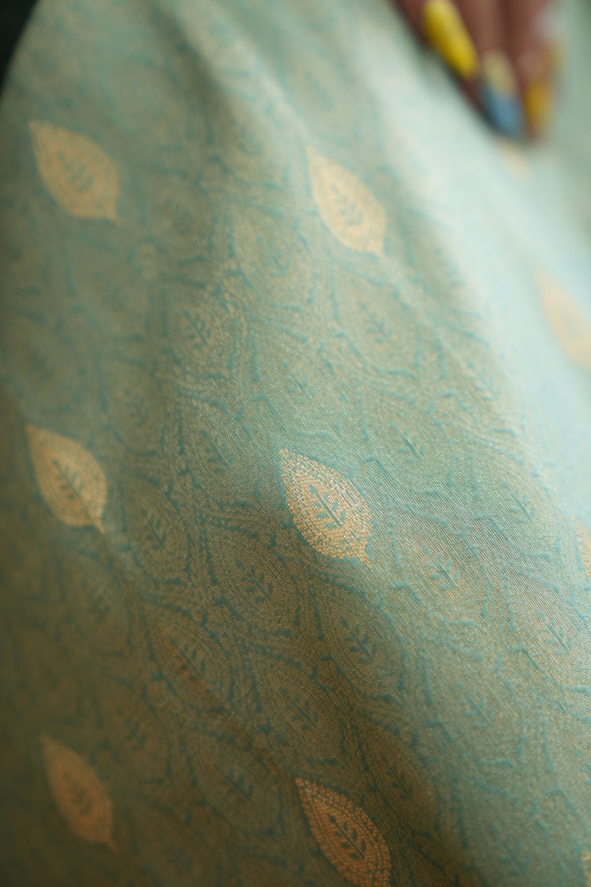 Lux Green Saree with Dark Green